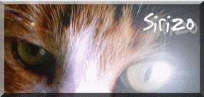 Cliquez ici pour t�l�charger cette image sur votre mobile!